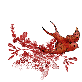 redbird.png